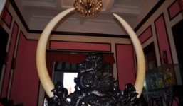 2 cặp ngà voi trứ danh của đại gia Việt